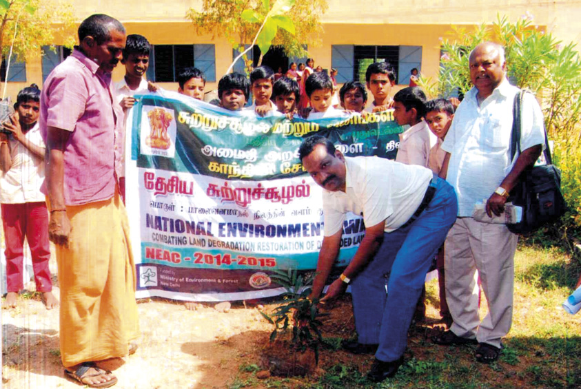 Community tree plantation drive